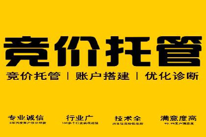 行业领先：竞价SEM托管案例剖析